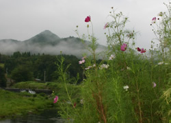 霧に煙る園部の山河