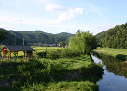 かわせみ亭周辺風景